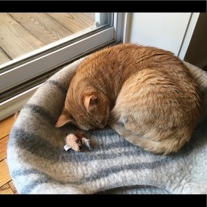 Meet your Posher, Elsa